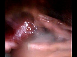 الملك سخيف العذراء gf سمسم سمسم هي ب. والنفقات