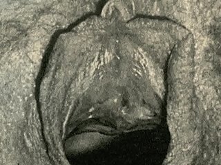Pitch-black Lantern Game presents 'Vintage Closeups' from My Secret Life, Rub-down the Erotic Accounts be required of a Victorian English Gentleman