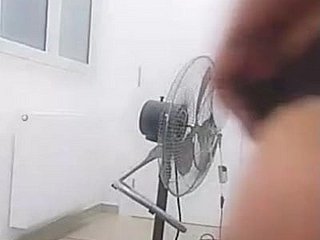 ٹینگو یاسمین تونسیہ نجی P4