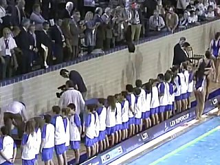 水球の詳細ロバ