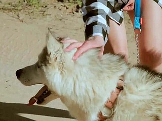 Indah remaja mengambil berjalan-jalan dengan anjing