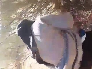 Algierczyk 2020 kahba algerienne 2020