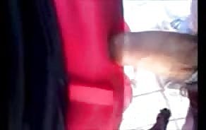 vidéos porno arrêt de bus