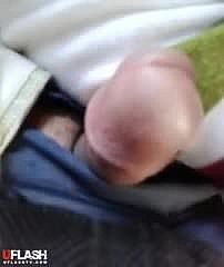 Hijabi Bus-Flash