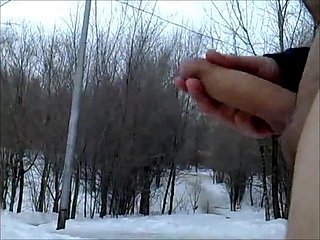 خریداری مجموعہ